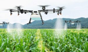Dari Ladang ke Layar: Inovasi Teknologi di Sektor Pertanian Indonesia