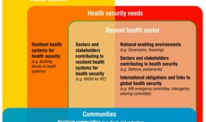 Membangun Ketahanan Sistem Kesehatan Indonesia dalam Menghadapi Bencana Alam