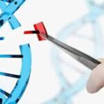 Revolusi Genetika: Membahas Etika dan Dampaknya Terhadap Kesehatan, Evolusi, dan Masyarakat di Masa Depan